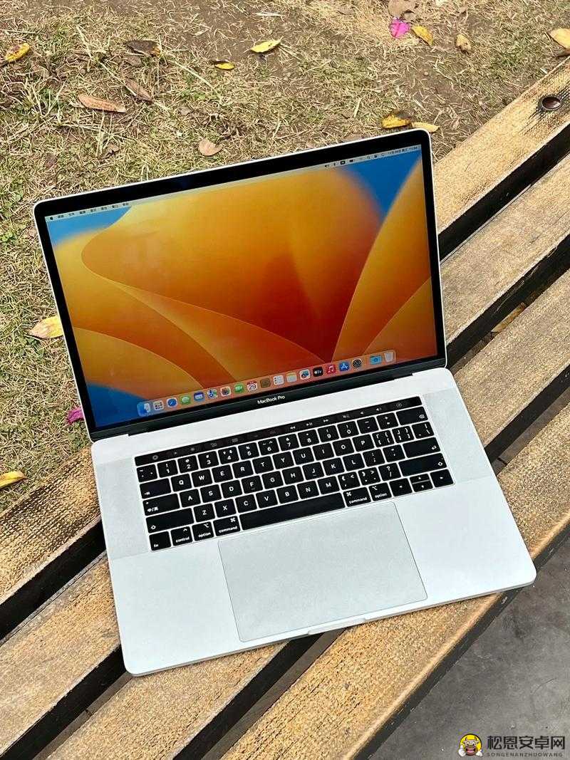 18 岁 macbookpro 高清：专属青春的高性能笔记本电脑风采